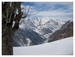 Trekking